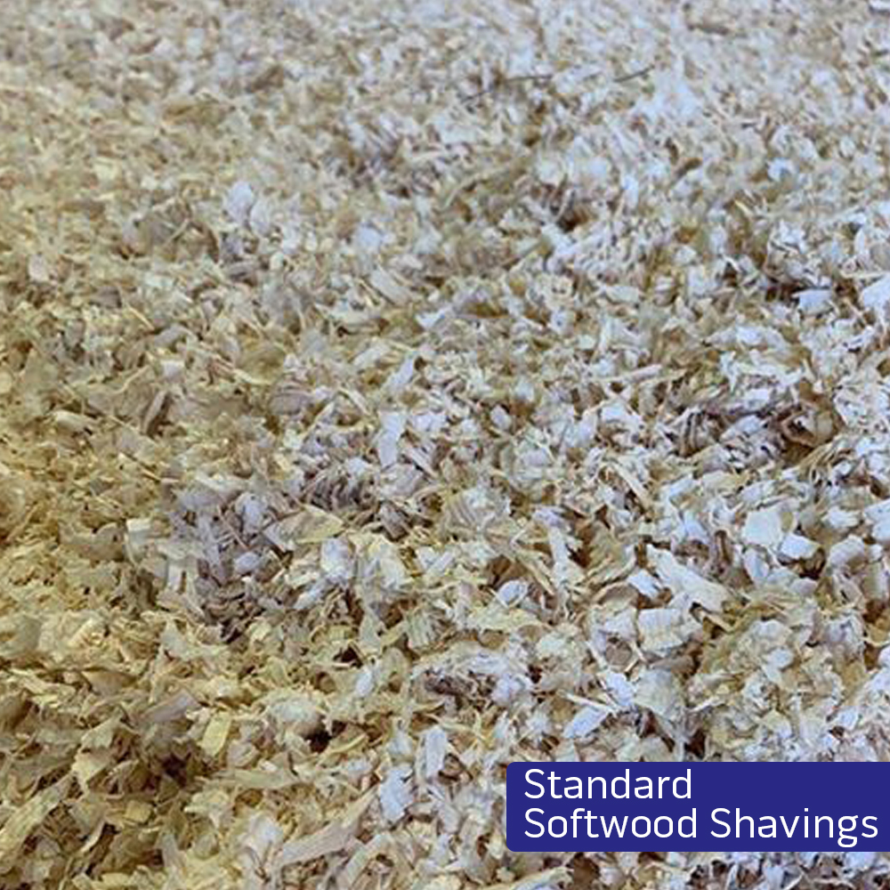 Standard Softwood Shavings